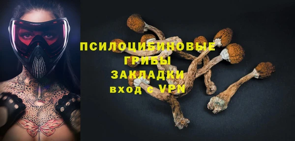 2c-b Богородск