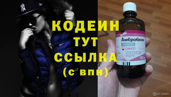 стафф Верхний Тагил