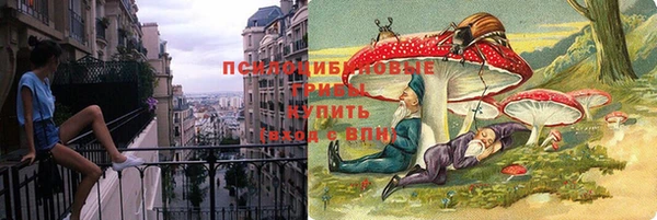 ешки Богородицк
